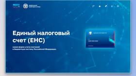 Что такое единый налоговый платеж через Госуслуги в Верный