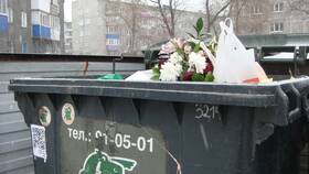 Хрен столовый 