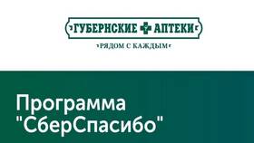 Как рассчитаться бонусами СберСпасибо в Верный
