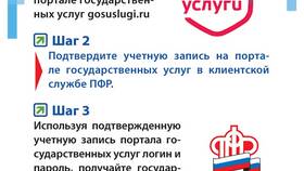 Как узнать количество пенсионных баллов через Госуслуги в Верный