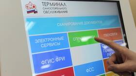 Как узнать СНИЛС мужа: законные способы в Верный