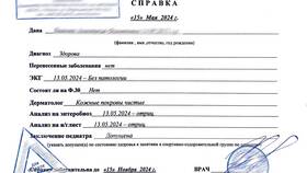 Как выглядят справки детского сада в Верный