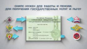 Почему перестали выдавать СНИЛС в Верный