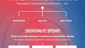 Последствия несвоевременной сдачи налоговой декларации в Верный