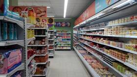 Сколько стоит одноразовый мангал в Пятерочке в Верный