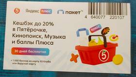 Сколько стоит сервис пакет от Пятерочки в Верный