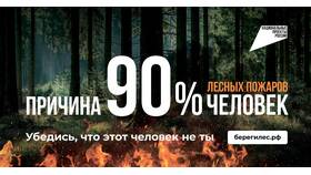 Справка 98 о ранении: для чего она нужна в Верный