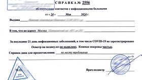 Справка выдана в том что в Верный