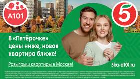 Стоимость магазина Пятерочка в Москве в Верный