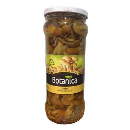 Грибы Botanica опята маринованные 370 мл в Верный