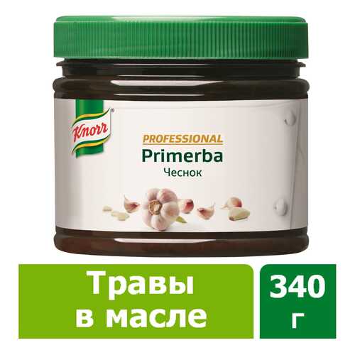 Приправа в растительном масле Knorr Primerba чеснок 340 г в Верный