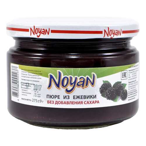 Пюре Noyan из ежевики без сахара 270 г в Верный