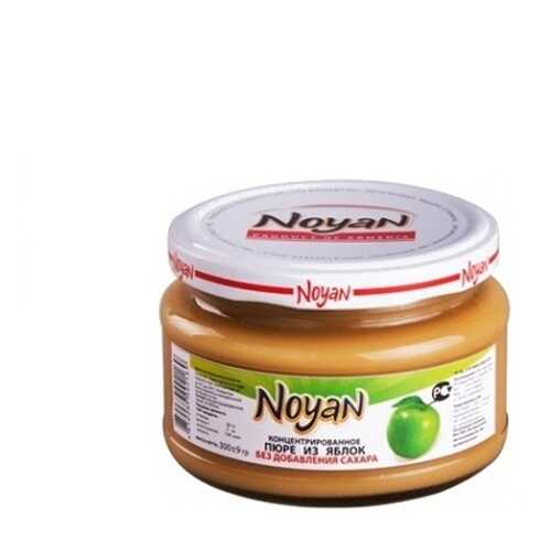 Пюре Noyan из яблок без сахара 300 г в Верный