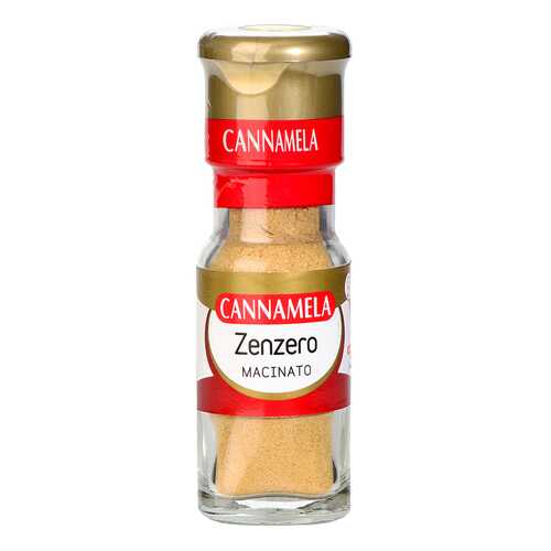 Приправа Cannamela имбирь молотый 20 г в Верный