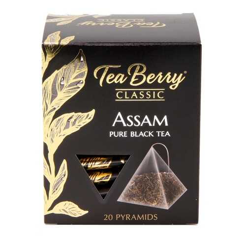 Чай Tea Berry ассам черный 20 пирамидок в Верный
