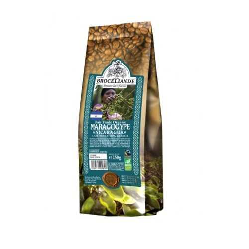 Кофе молотый Broceliande maragogype Nicaragua броселианд марагоджип Никарагуа 250 г в Верный