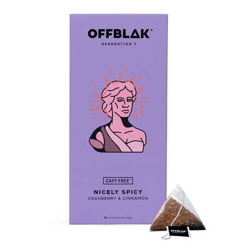 Чайный напиток OFFBLAK NICELY SPICY 12х2.5г Россия в Верный