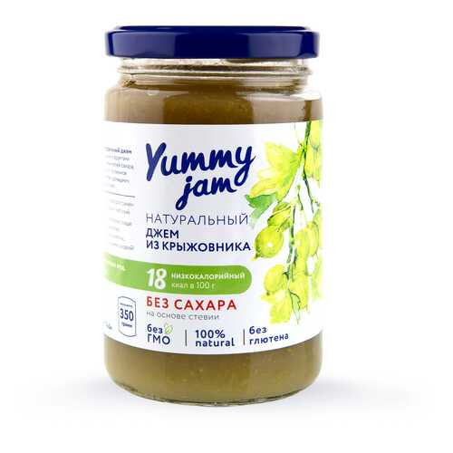 Джем Yummy jam из крыжовника без сахара 350 г в Верный